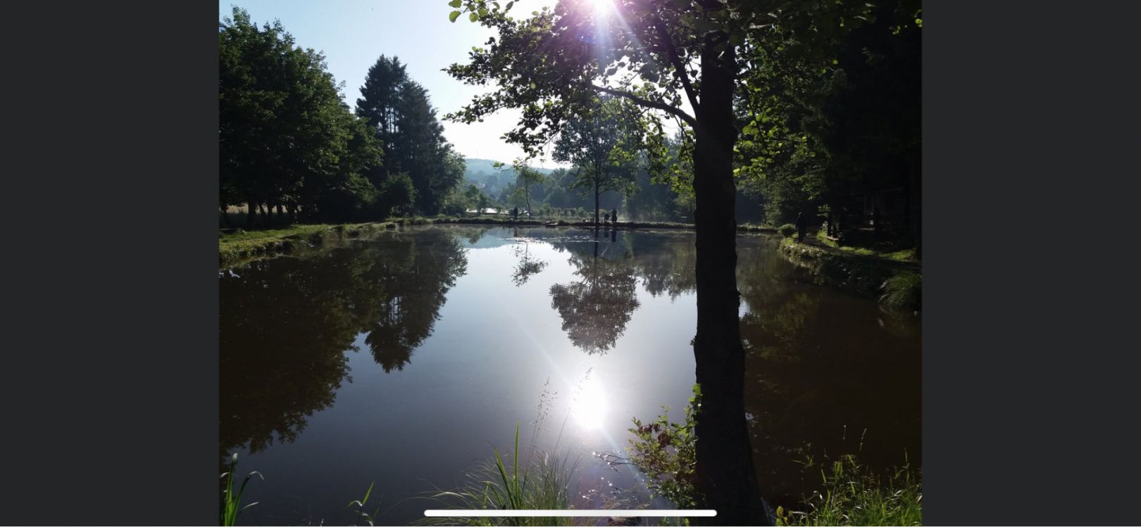 Angelpark Remmesweiler angeln