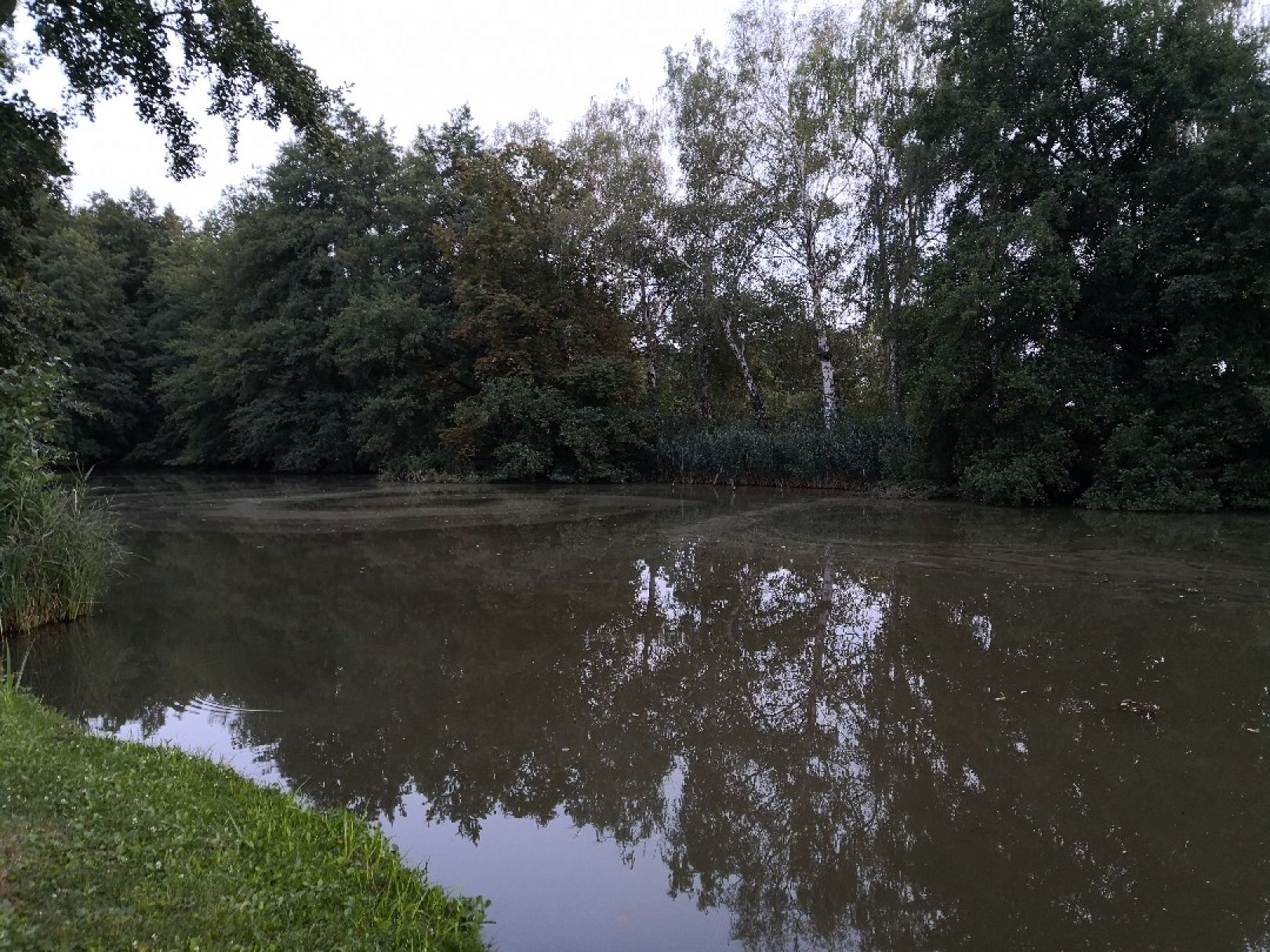 Lindenthaler Teich (Gardelegen) angeln