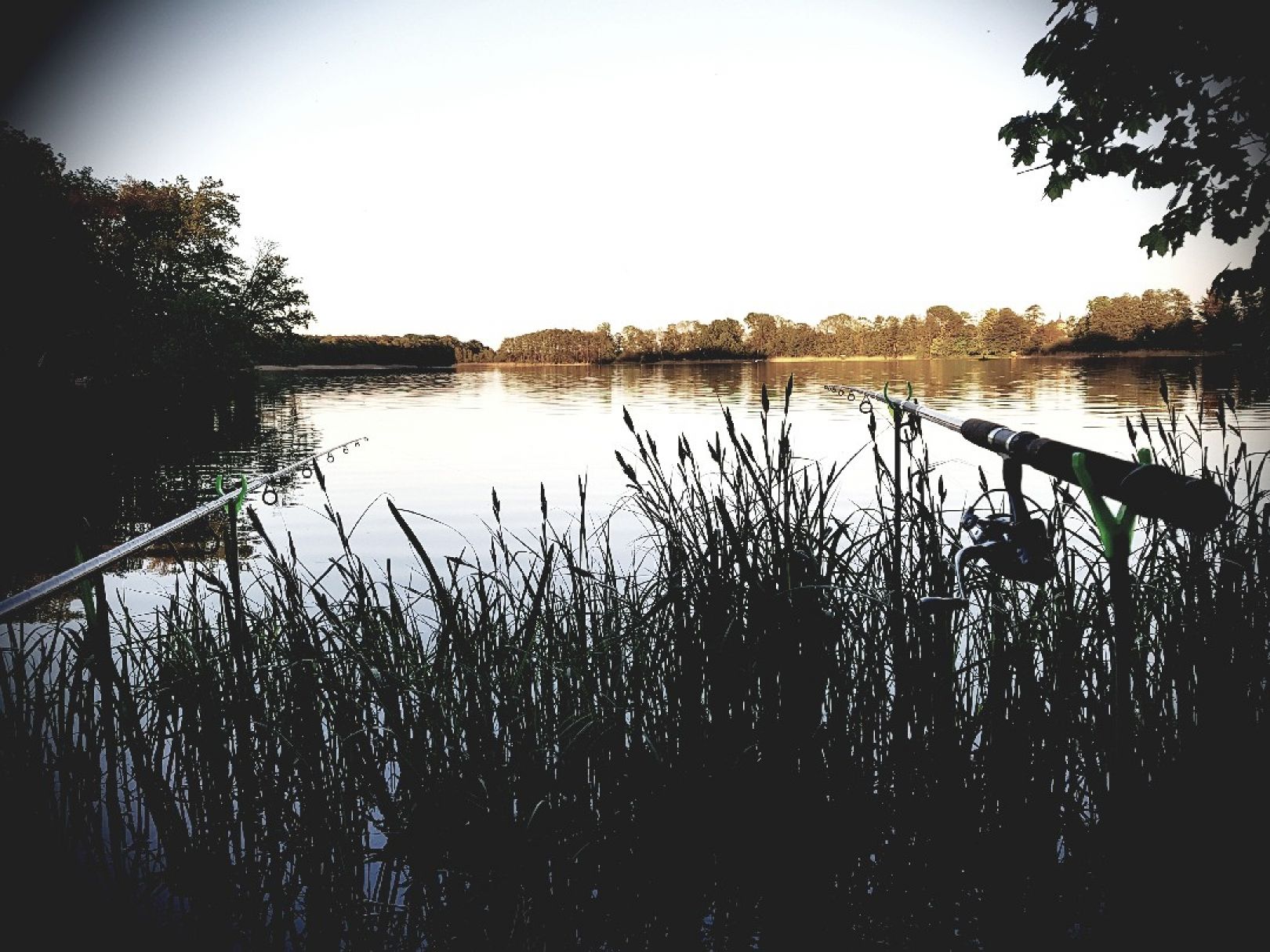 Großer Seddiner See angeln