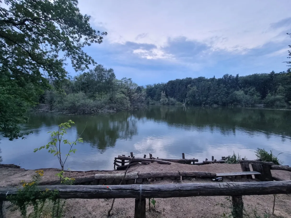 Waldsee (Fechenheim) angeln