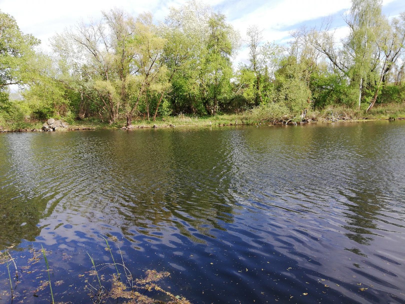 Golmer Stichkanal angeln