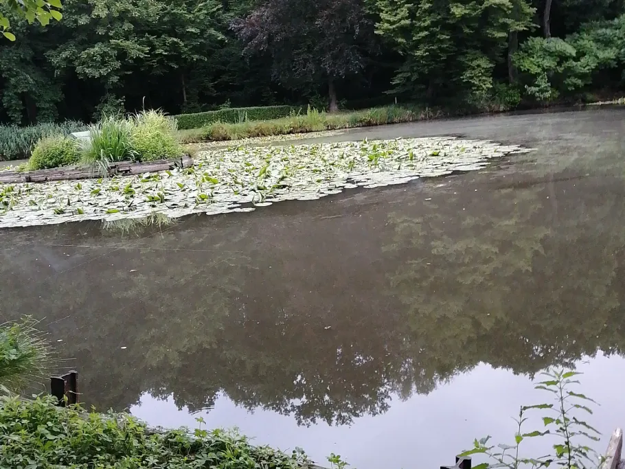 Angelteiche Broicher Siedlung angeln