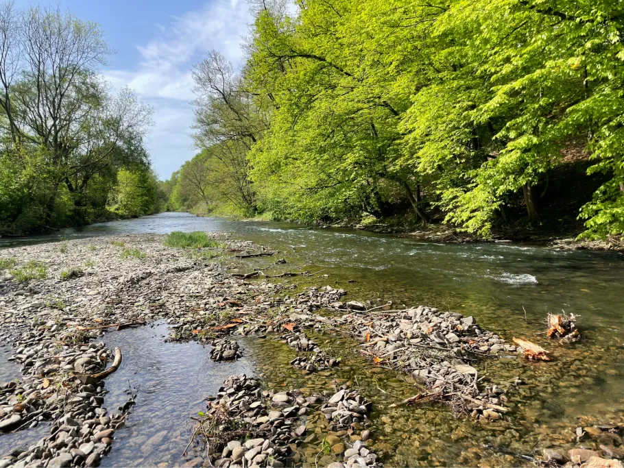 Agger (Neuhonrath-Wahlscheid) angeln