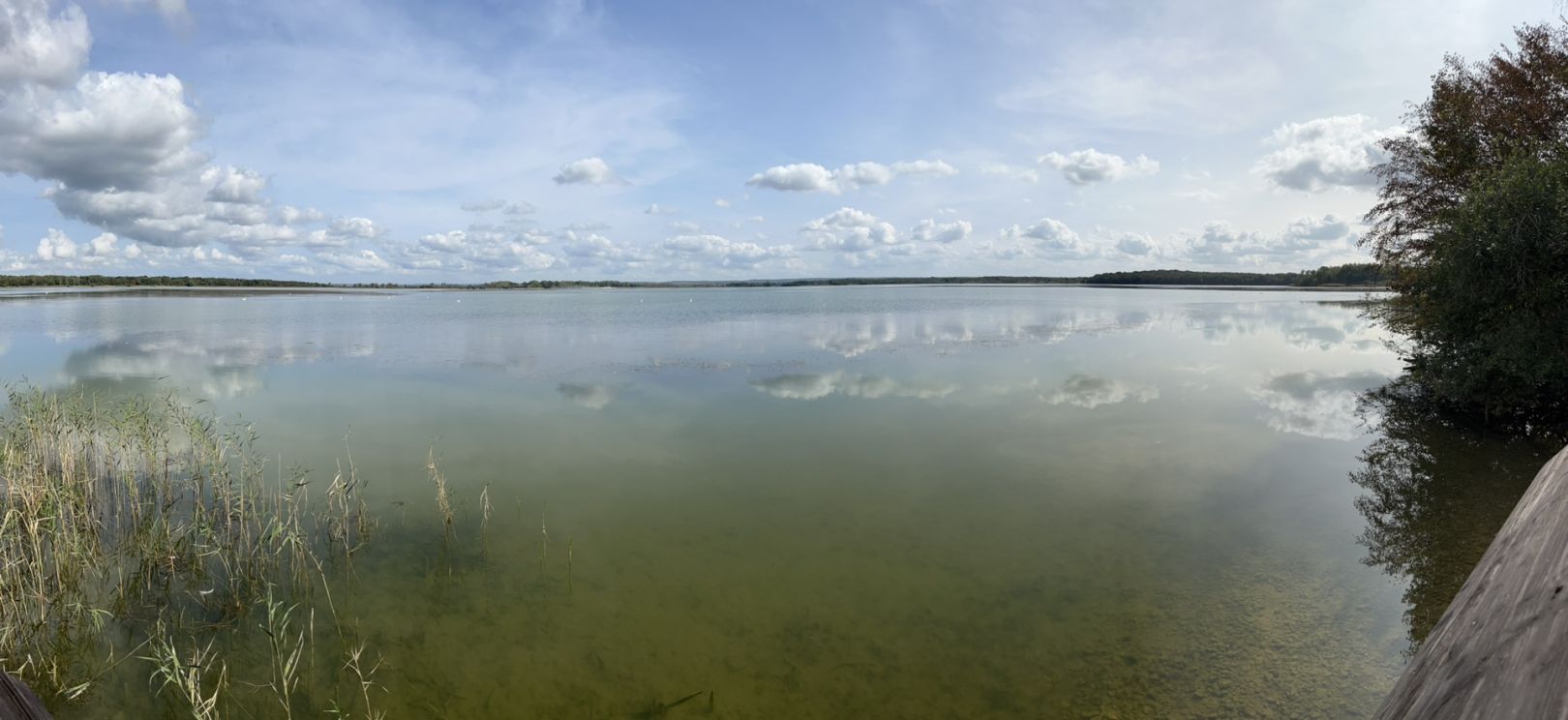 Lac de Madine angeln