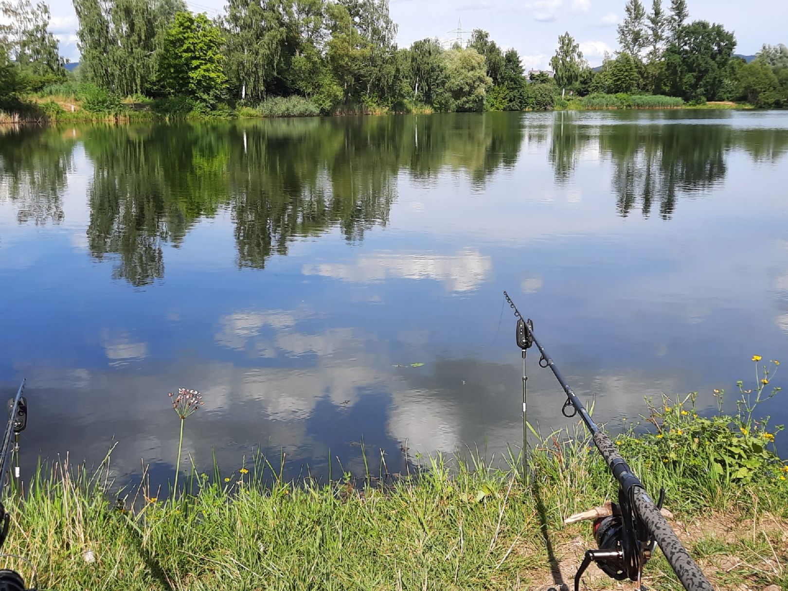 Baggersee Mainauen (Kulmbach) angeln