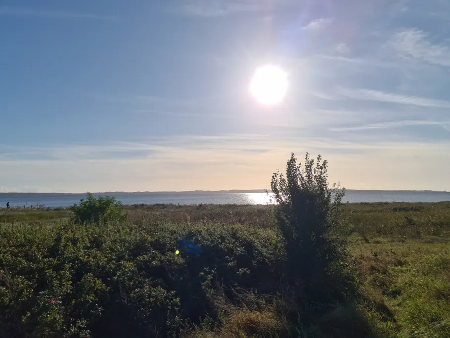 Bogenser Strand angeln
