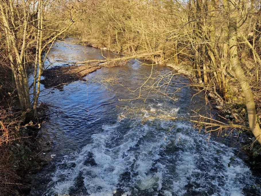 Lendersdorfer Mühlenteich (Düren) angeln