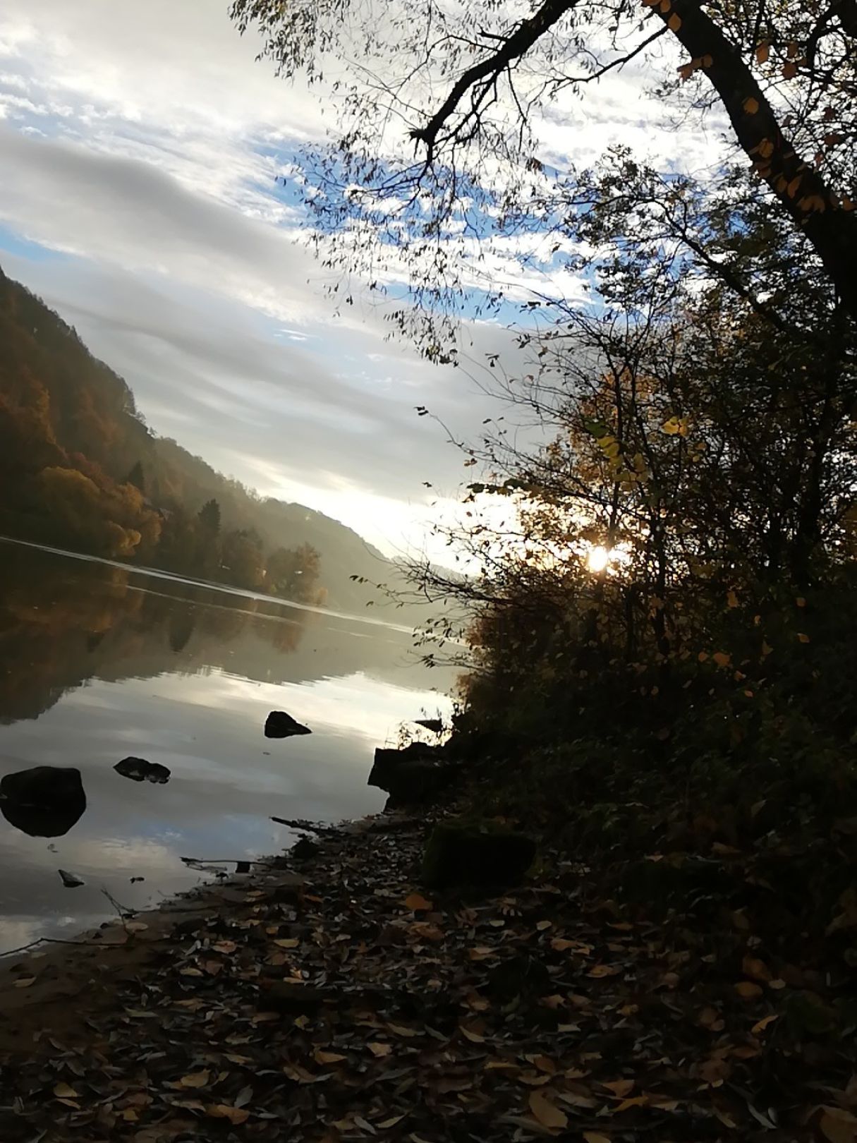 Angeln in Reinhardtsdorf-Schöna