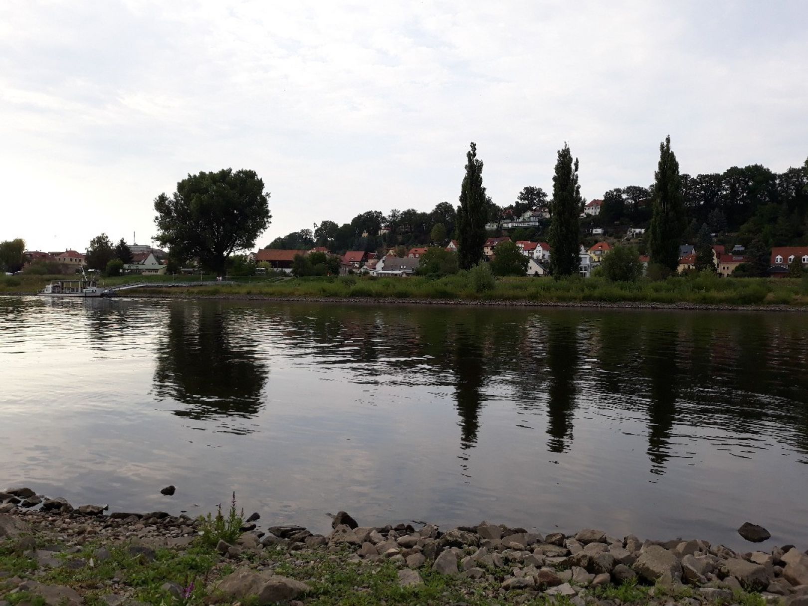 Elbe (Pirna) angeln