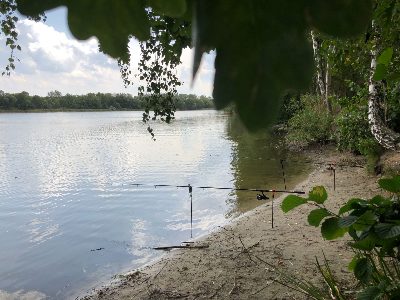 Neuer See (Falkensee) angeln