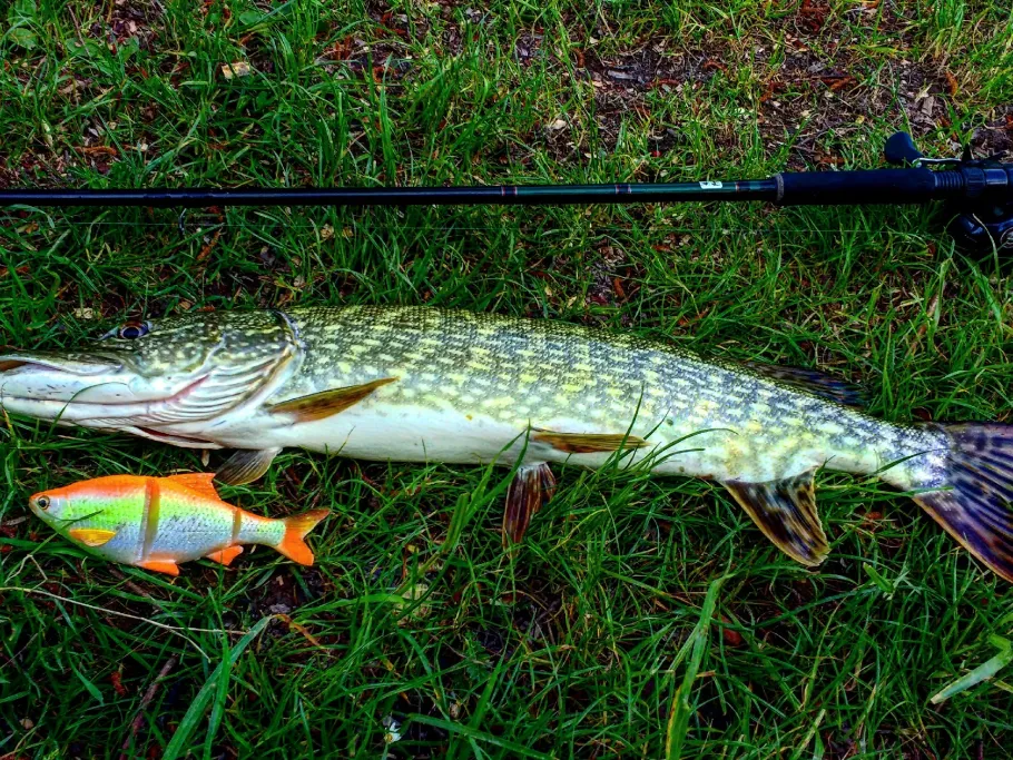 Hochstraßer See (Raubling) angeln