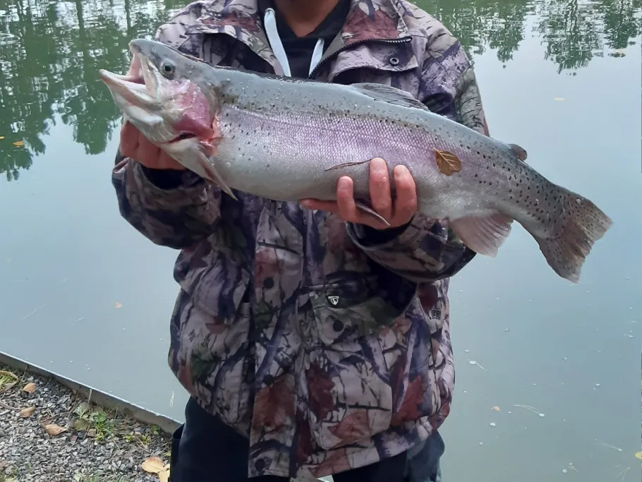 Angel-Sport- u. Freizeitpark Limburg angeln