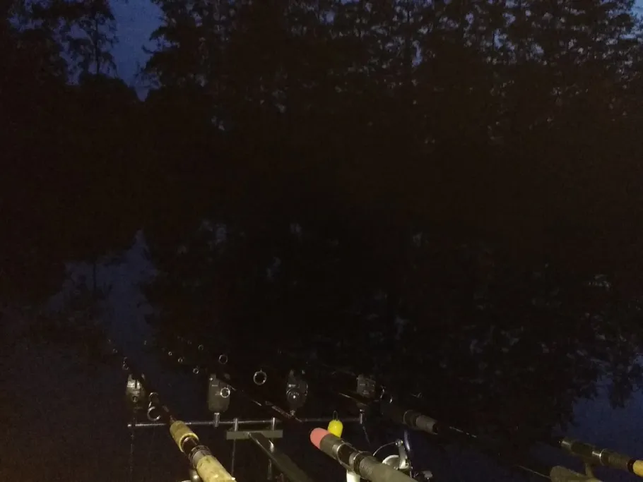 Ratsteiche (Wegeleben) angeln