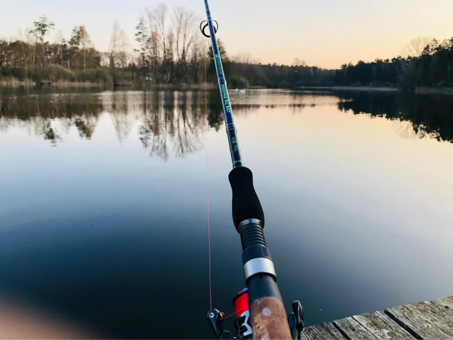 Fauler See (Demen) angeln