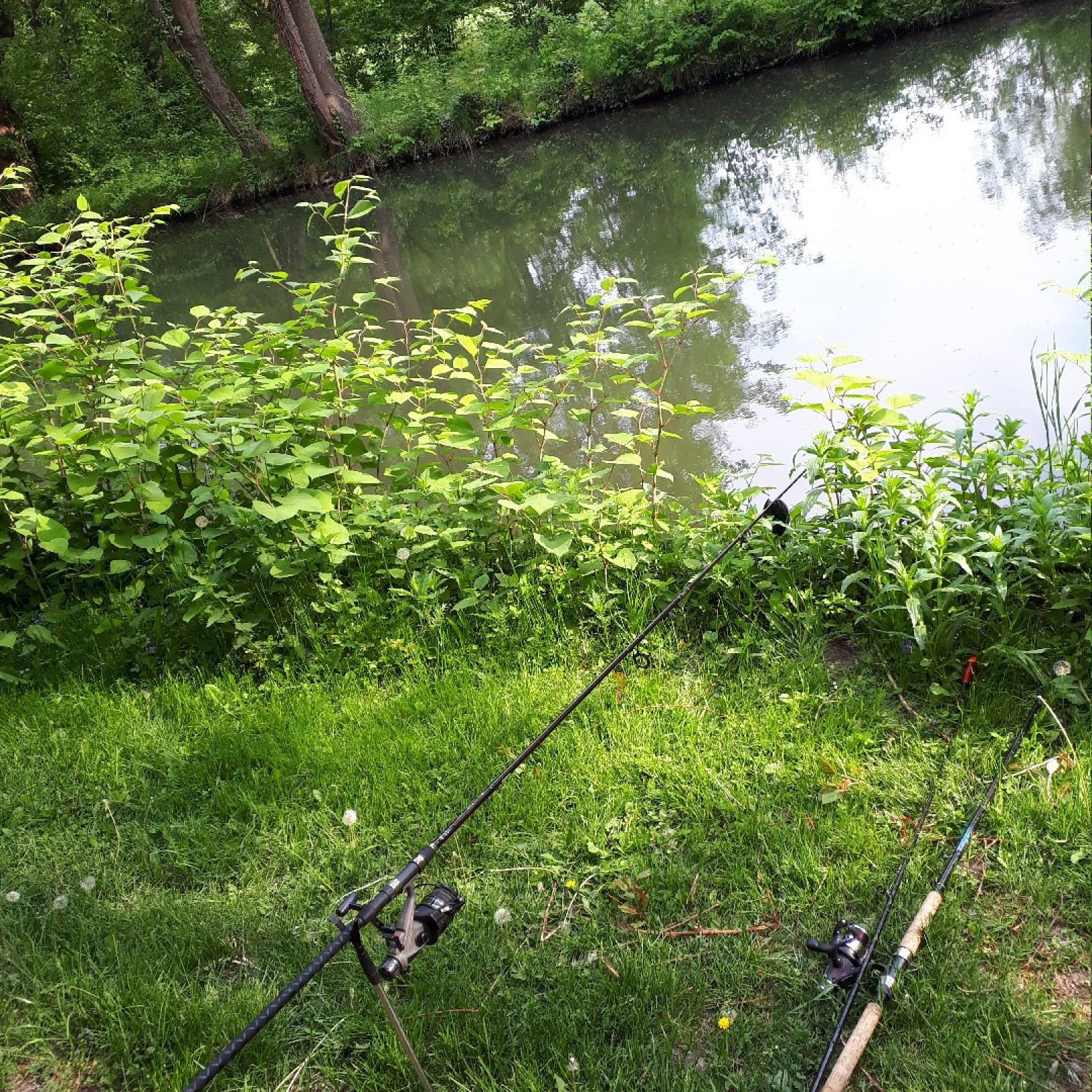 Würmkanal (Oberschleißheim) angeln