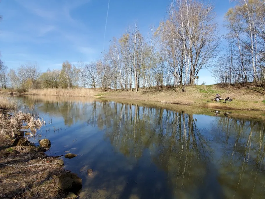 Tongrube Martha (Kleinaga) angeln