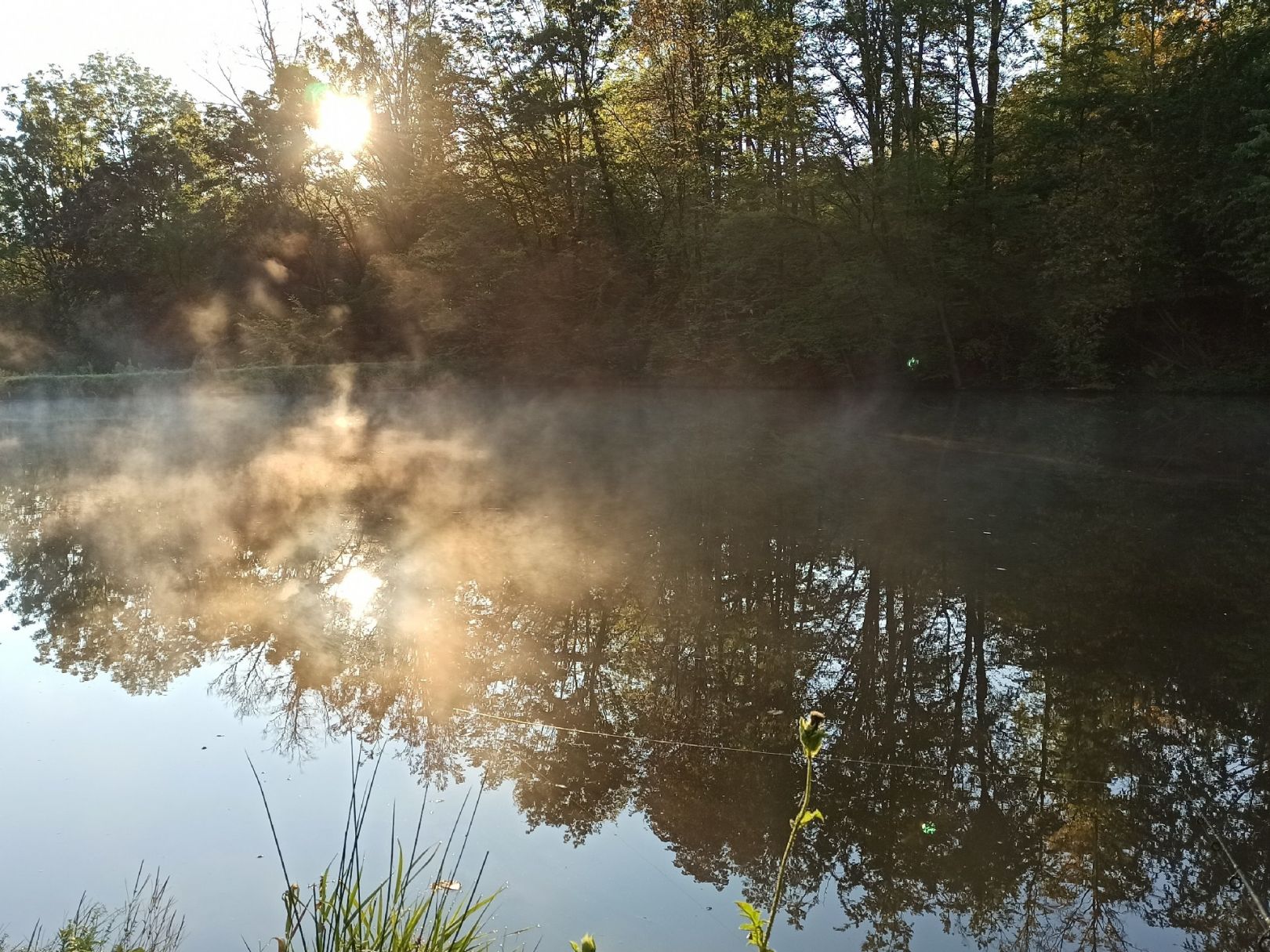 Teichanlage Sonnabendwinkel angeln