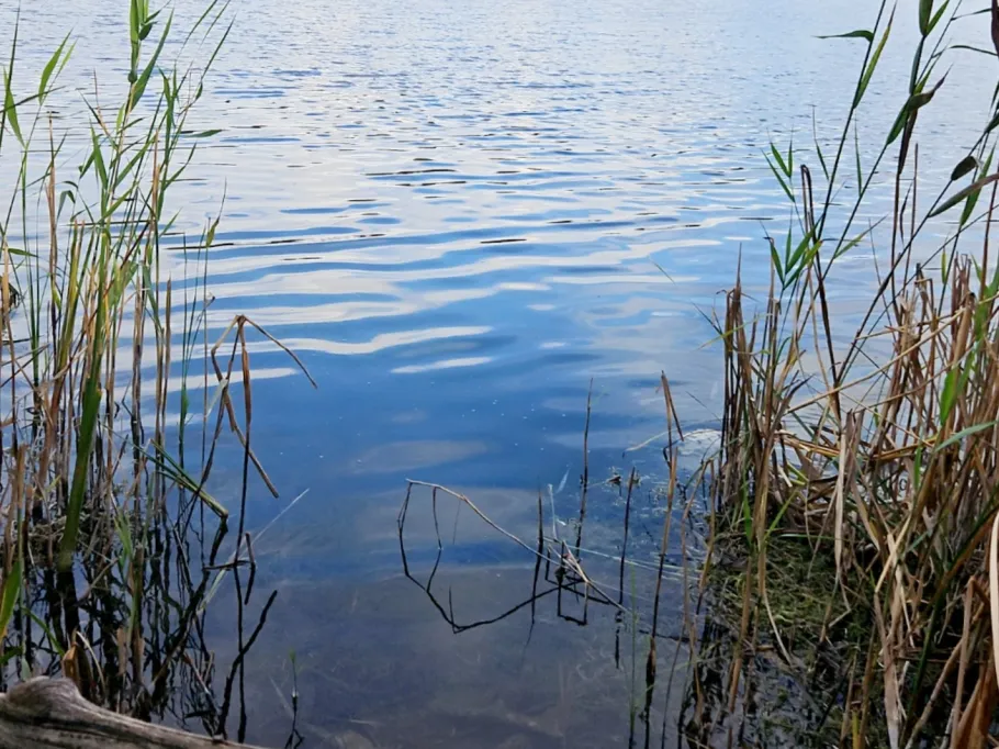 Hertasee (Schwanbeck) angeln