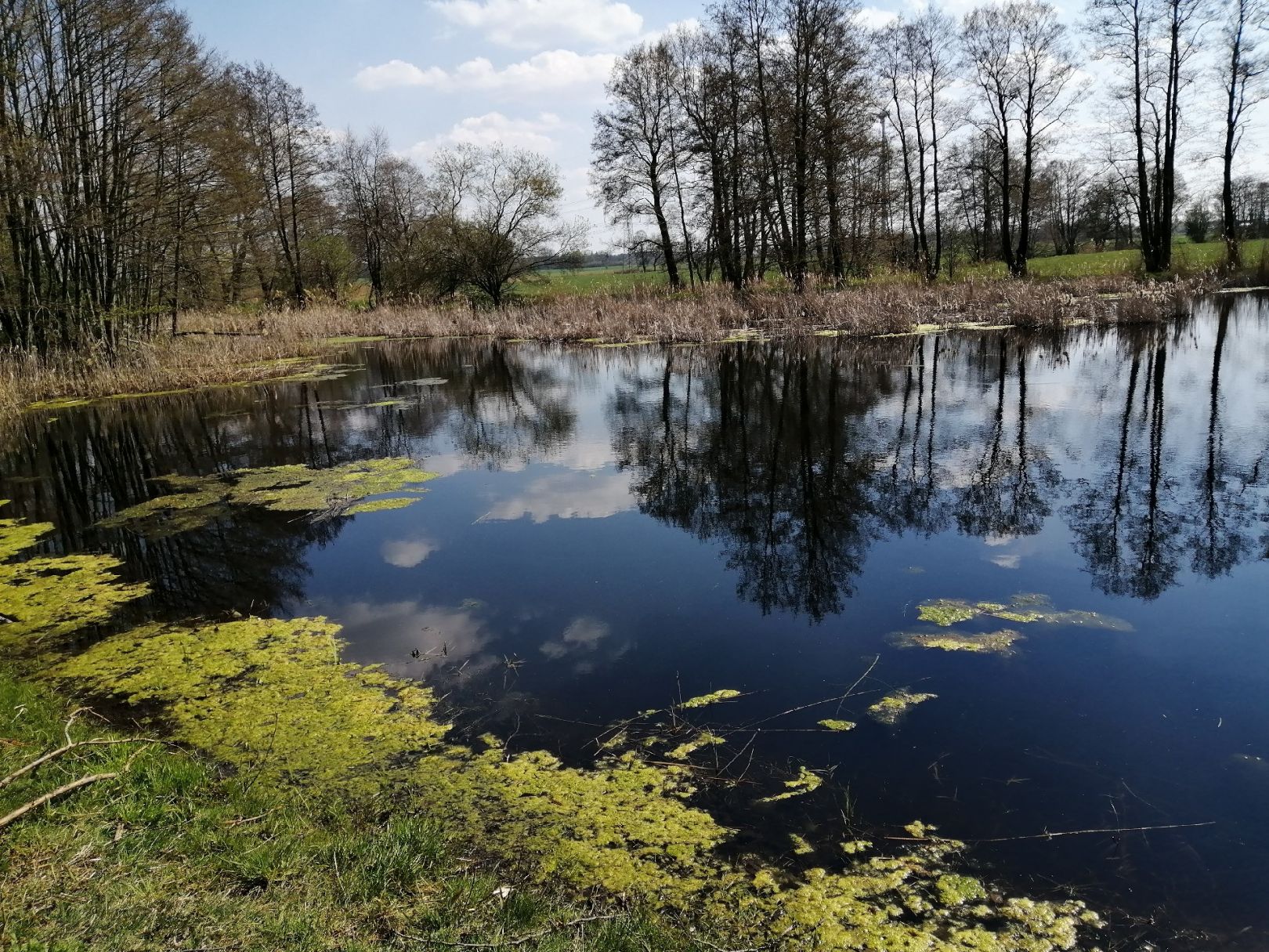 Biotop Tanneberg angeln