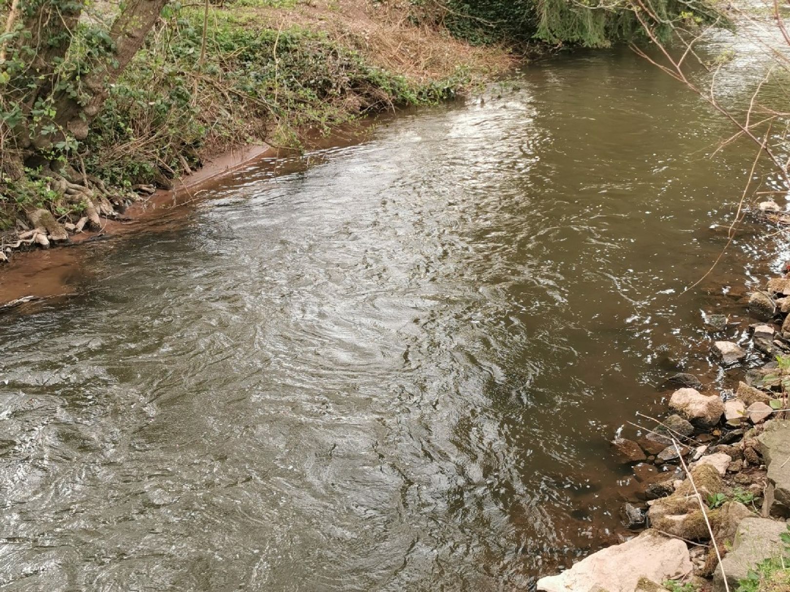 Angeln in Einöllen