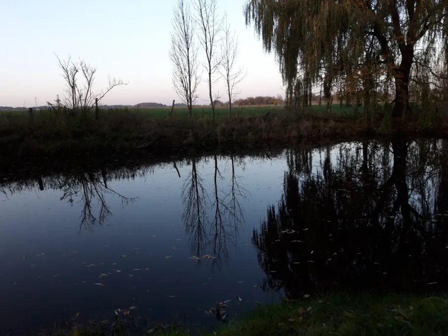 Dorfteich Schäplitz angeln