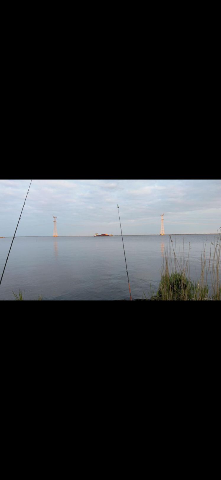 Ijsselmeer  angeln