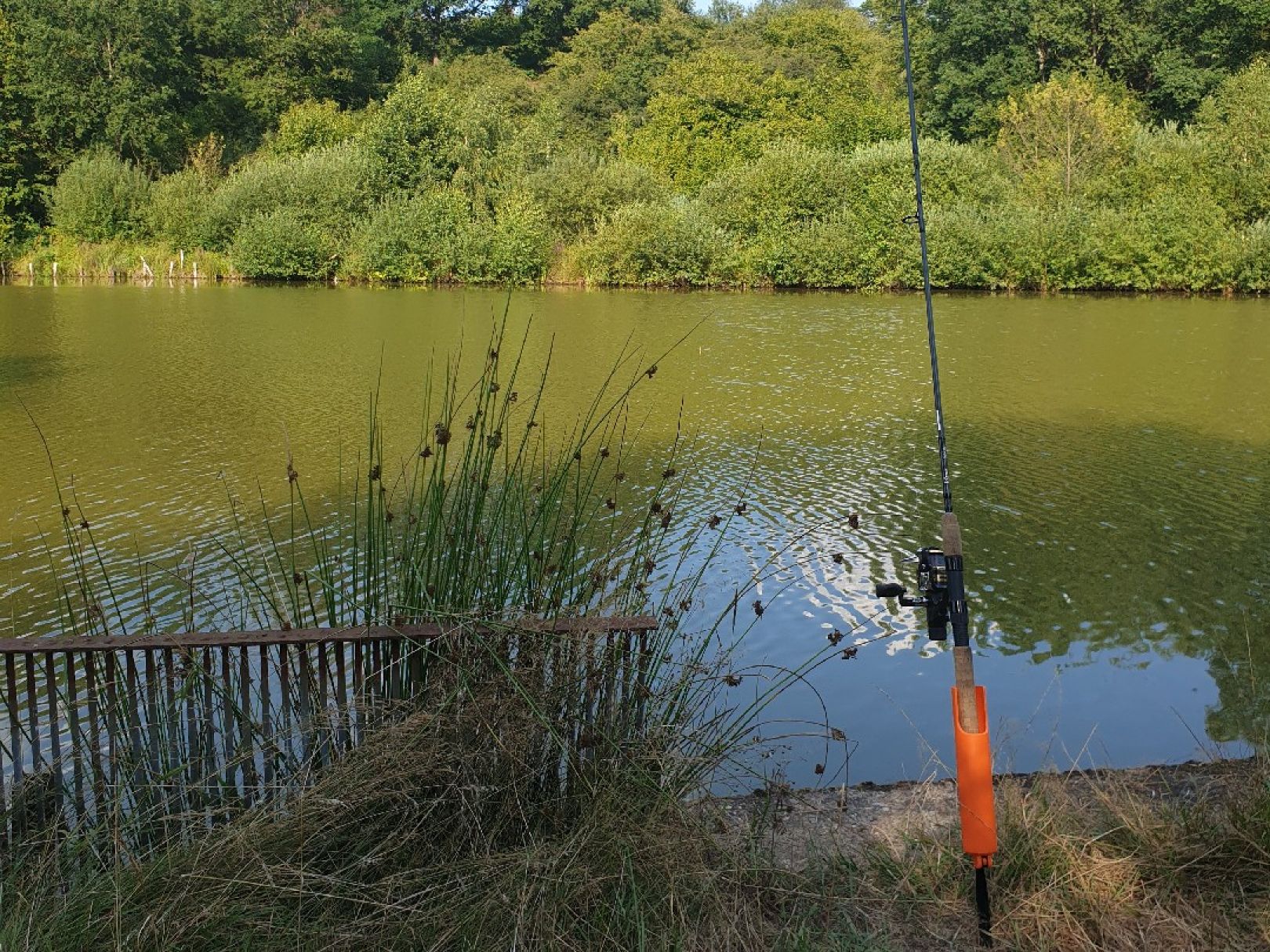 Teichanlage Burgsinn angeln