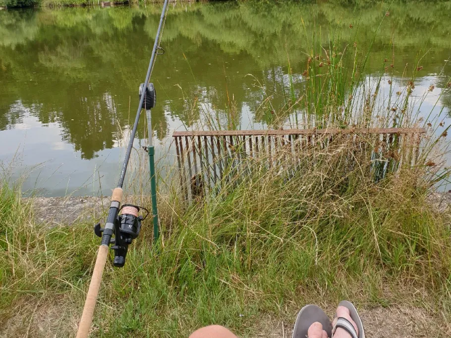 Teichanlage Burgsinn angeln