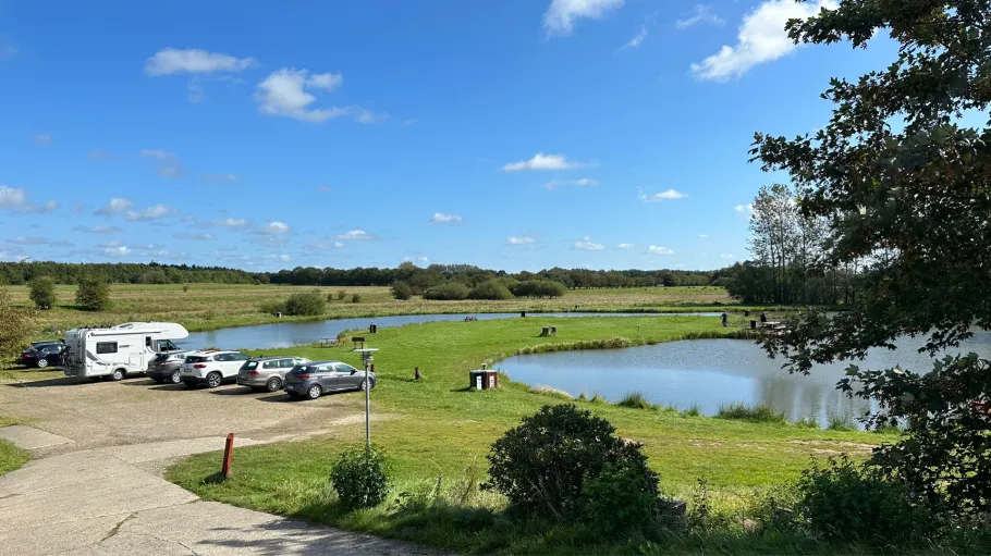 Filskov Fiskesø angeln