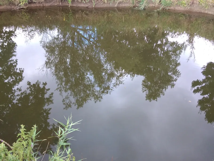 Altwasser Aichen angeln