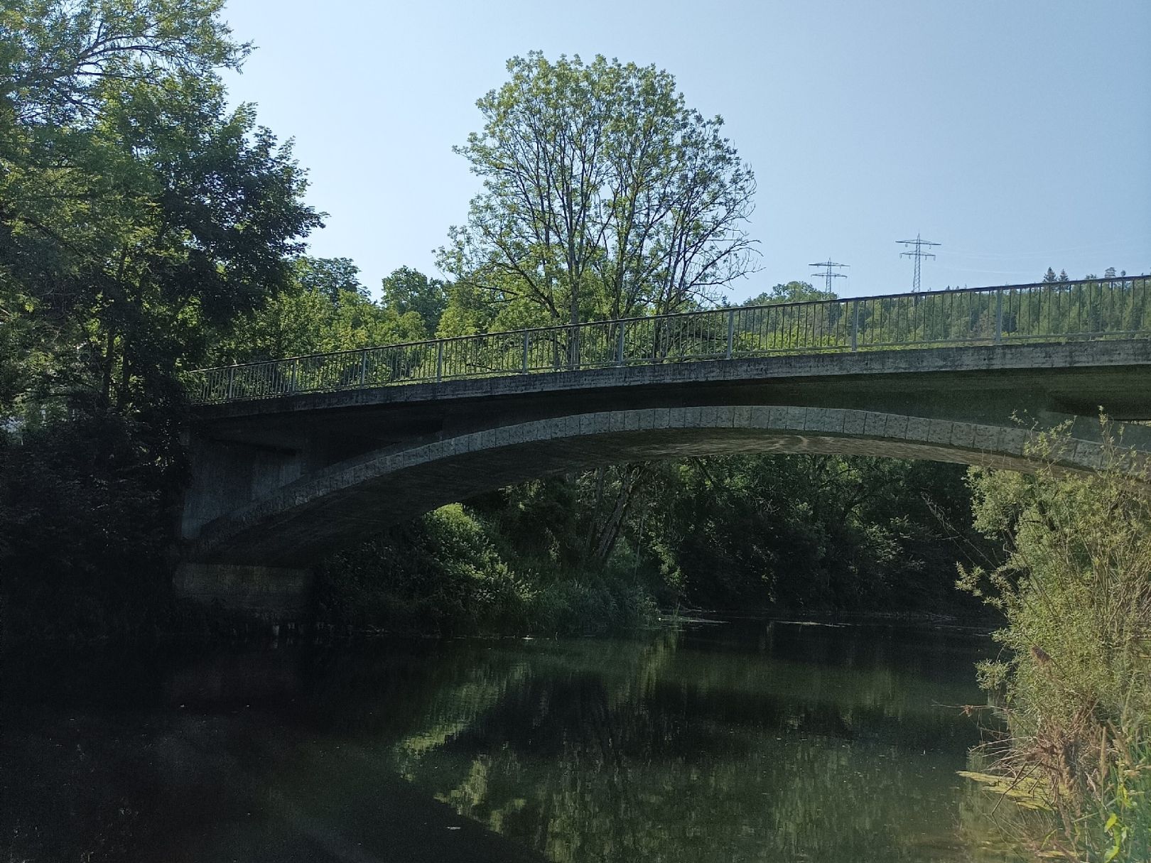 Donau (Thiergarten) angeln
