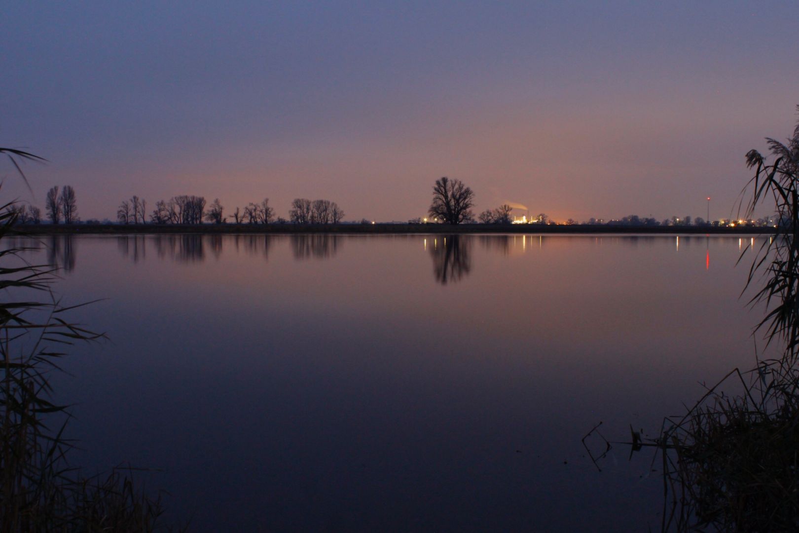 Lostauer Alte Elbe angeln