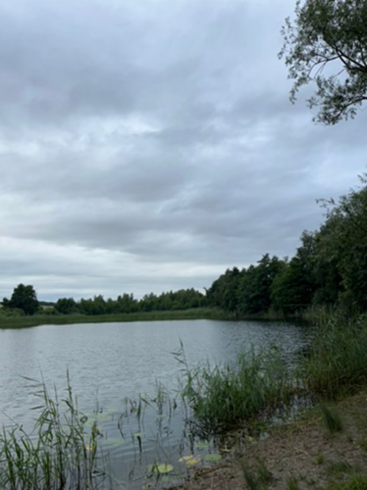 Großer Sandsee (Röpersdorf) angeln