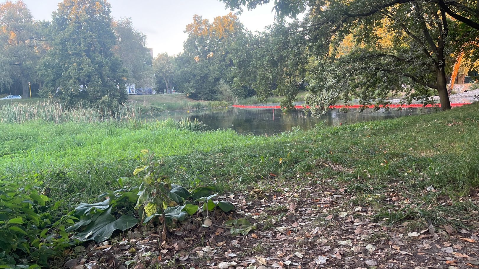 Septimerbecken (Berlin) angeln