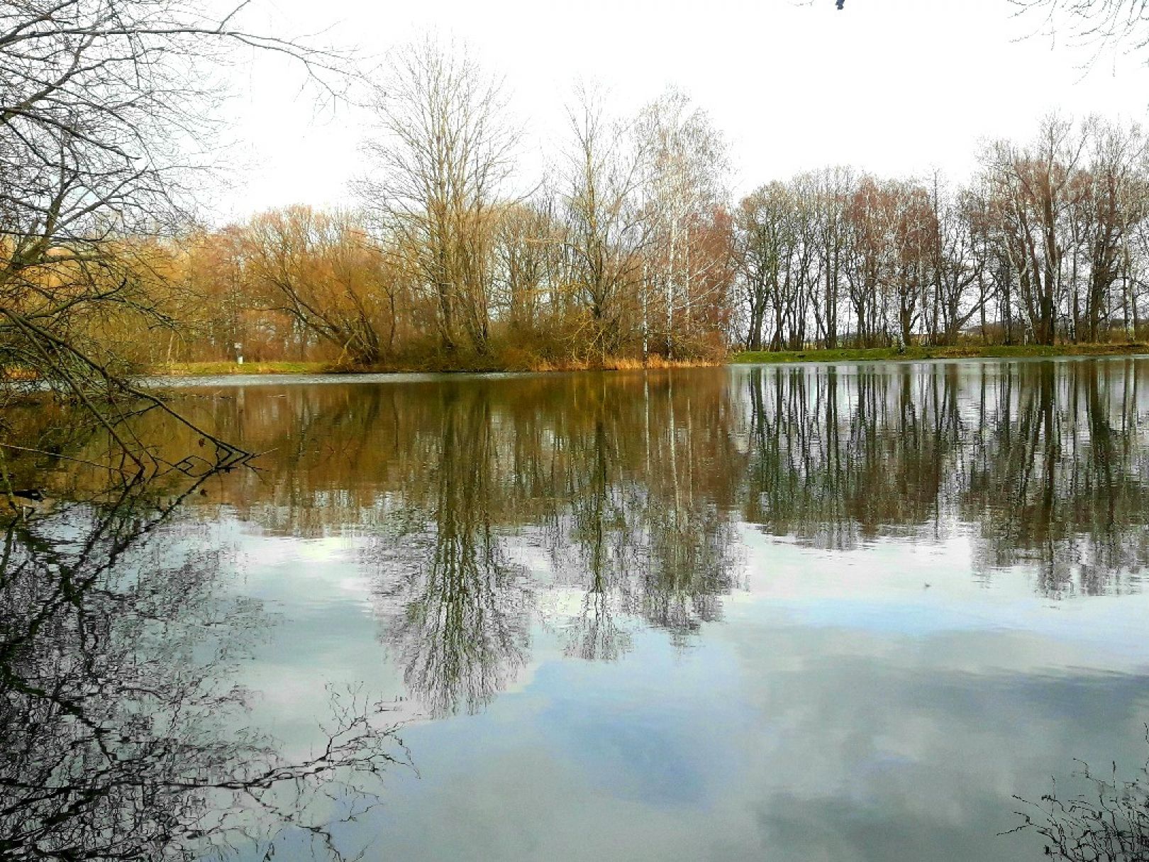 Pappelteich Ermsleben angeln