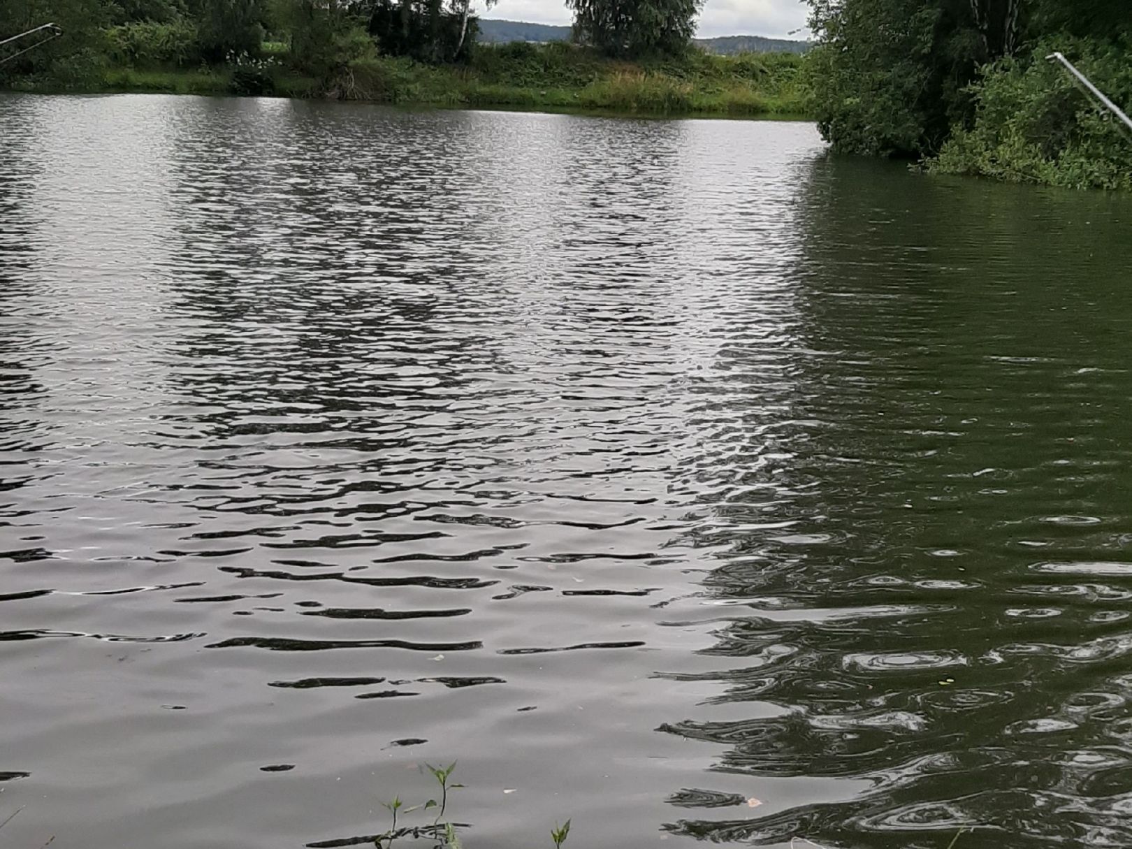 Pappelteich Ermsleben angeln