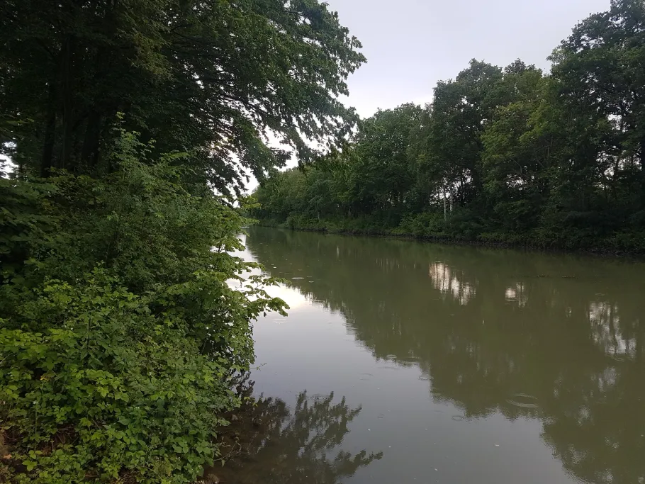 Stichkanal Hannover-Linden angeln