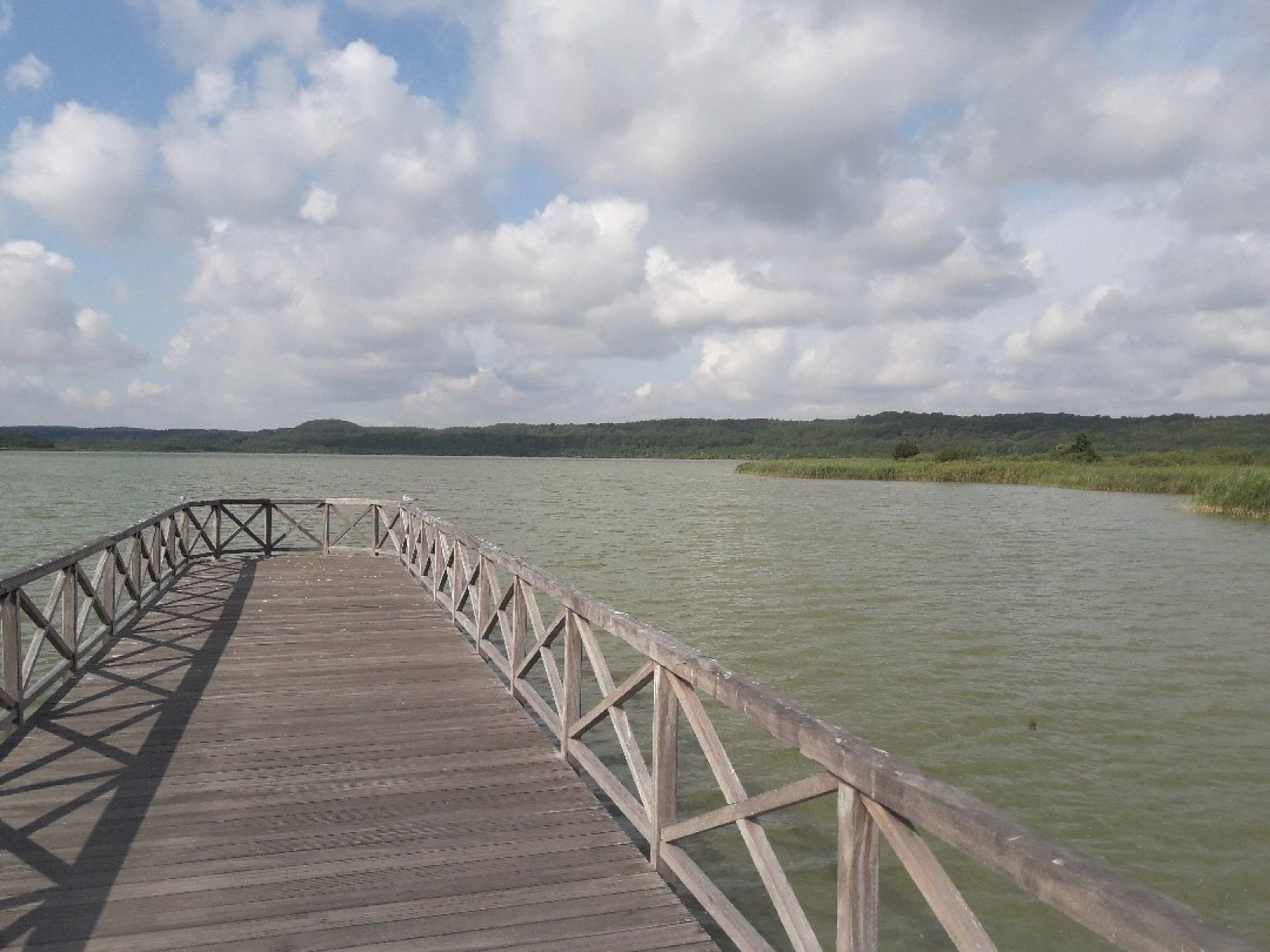 Schmachter See (Binz) angeln