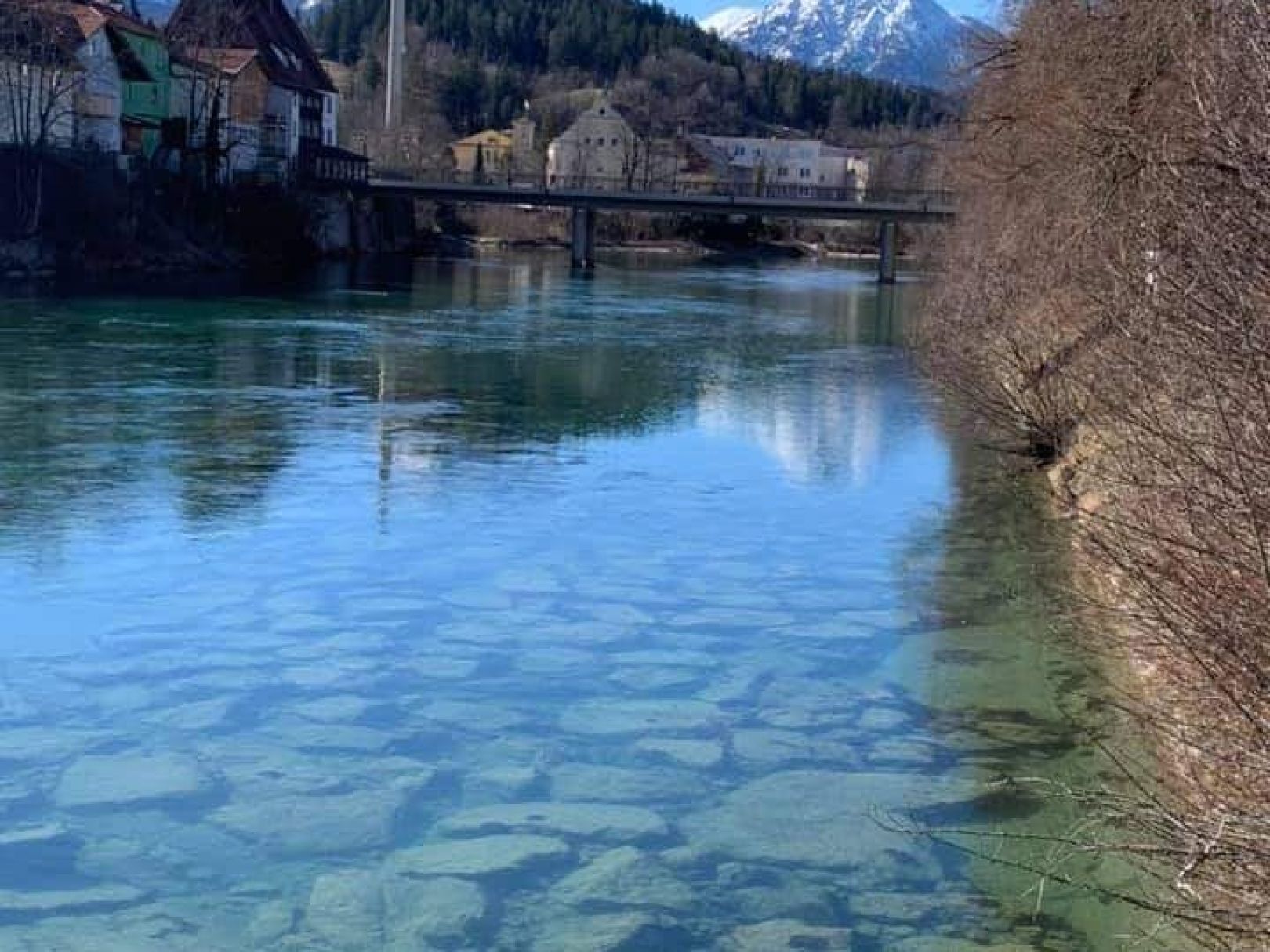 Lech (Füssen) angeln