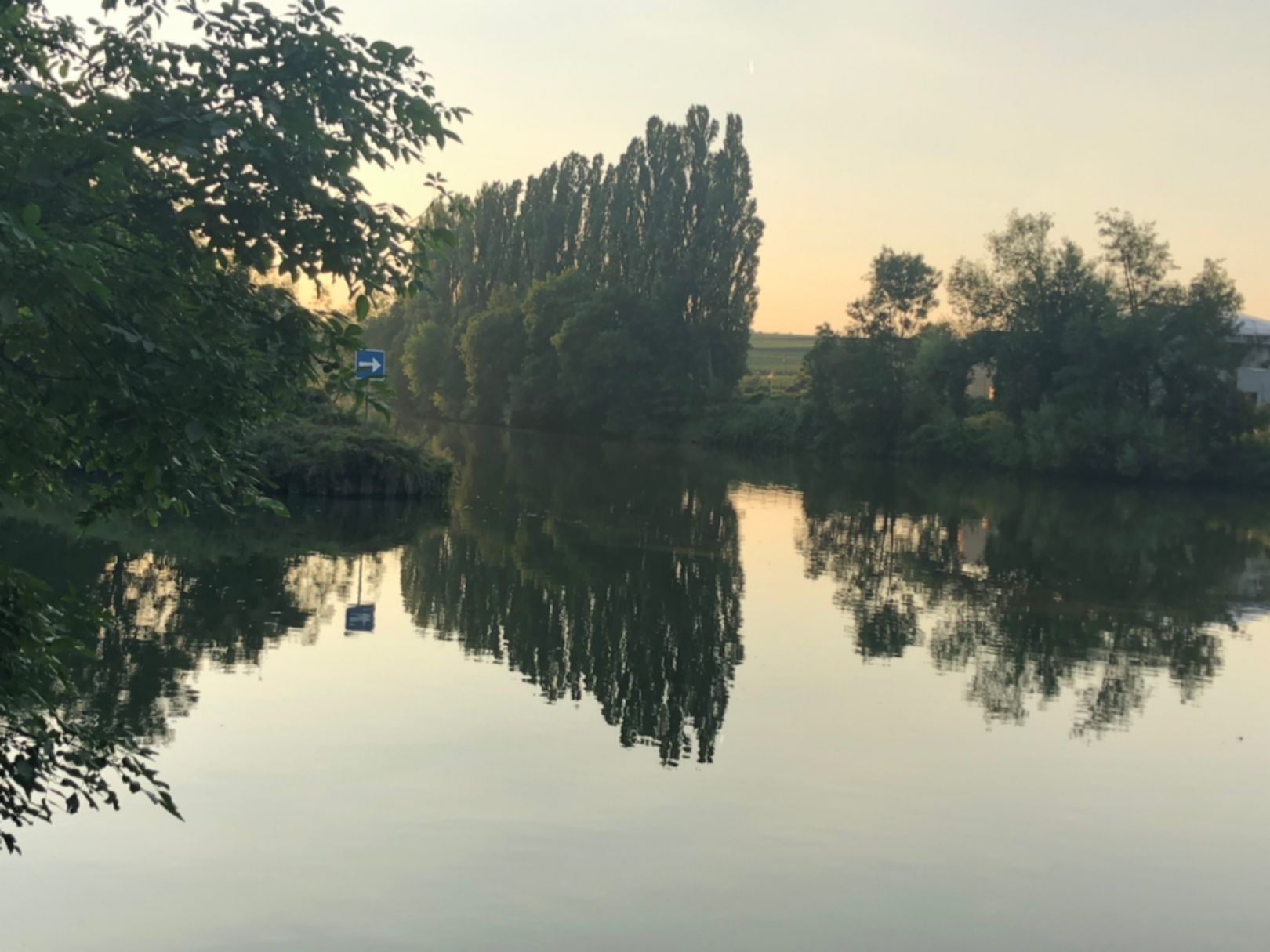 Neckar (Lauffen am Neckar) angeln