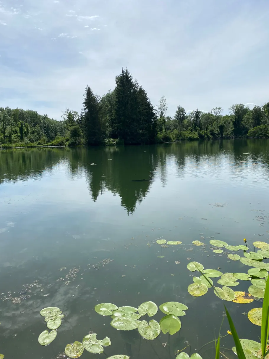 Oberelchinger See angeln