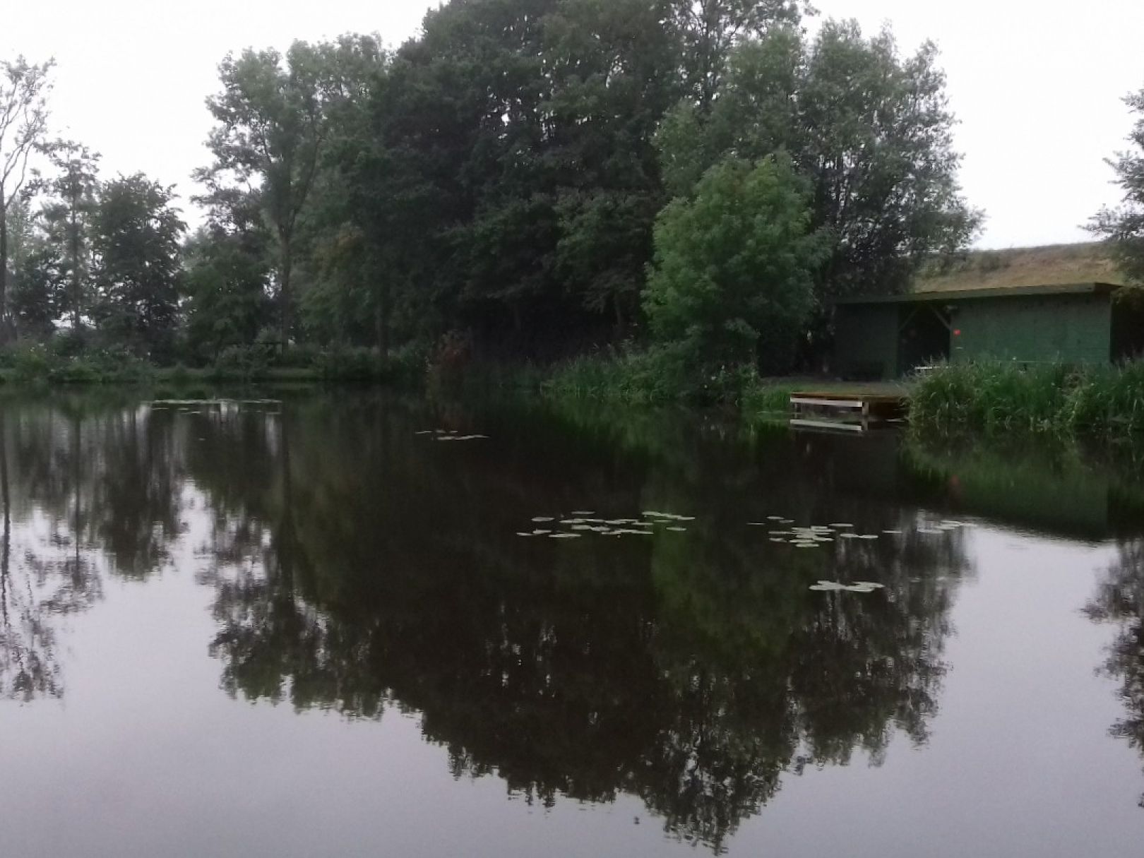 Vereinsteiche Sportfischer Farge-Rekum angeln