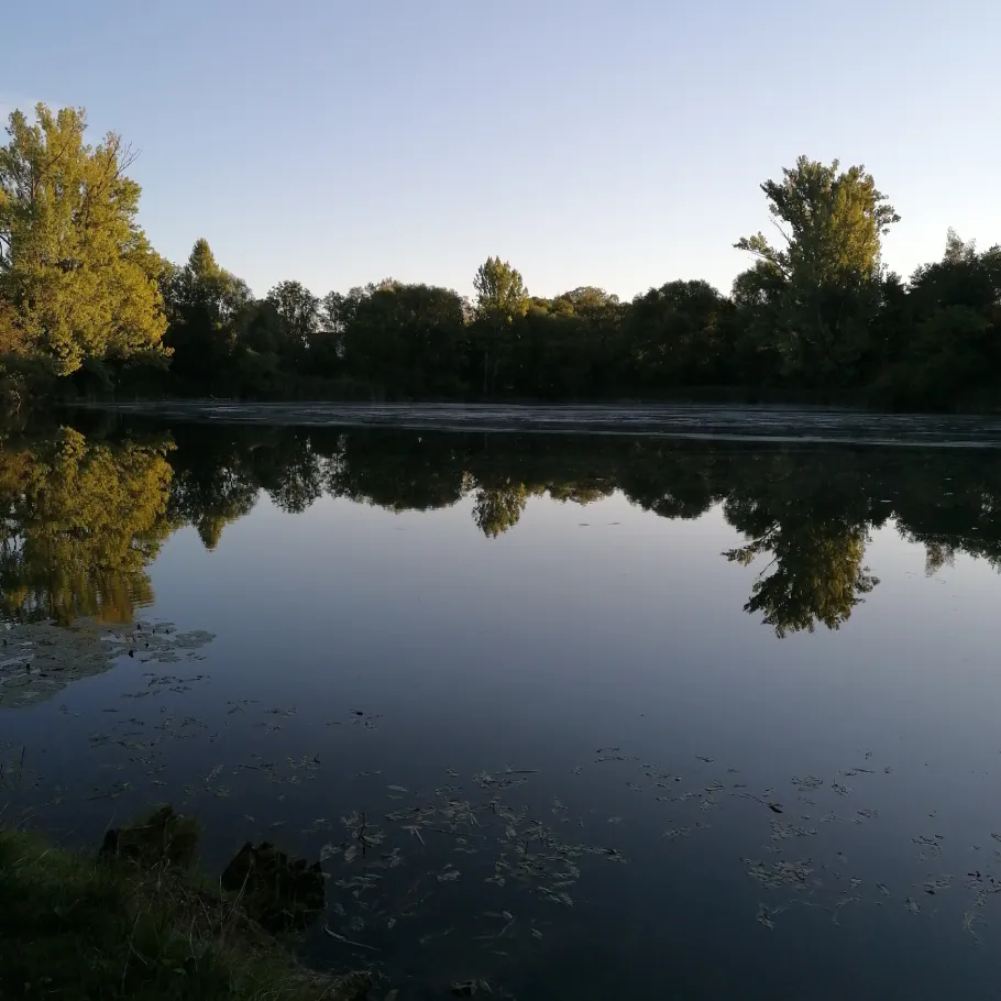 Klärteich Taucha angeln