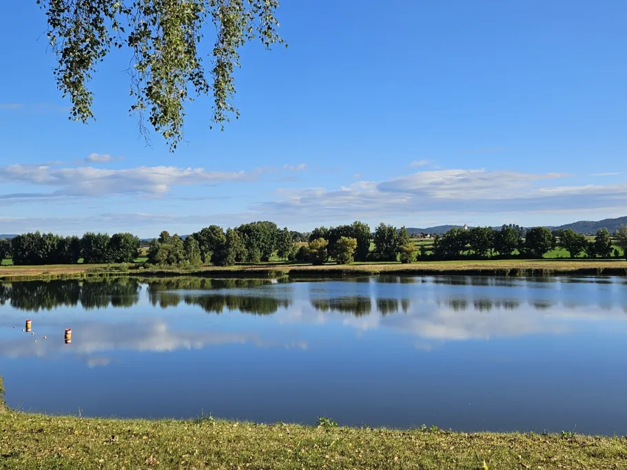 Silbersee (Treffelstein) angeln