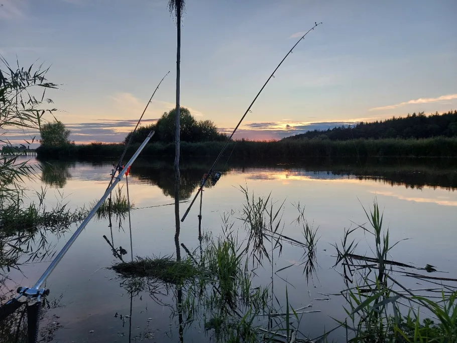 Oste (Hechthausen) angeln