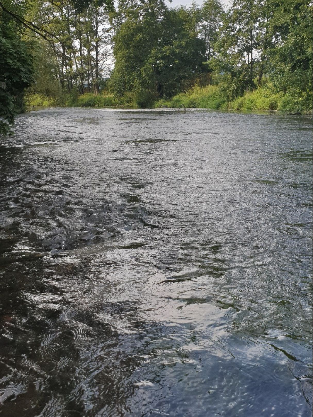 Angeln in Kühndorf