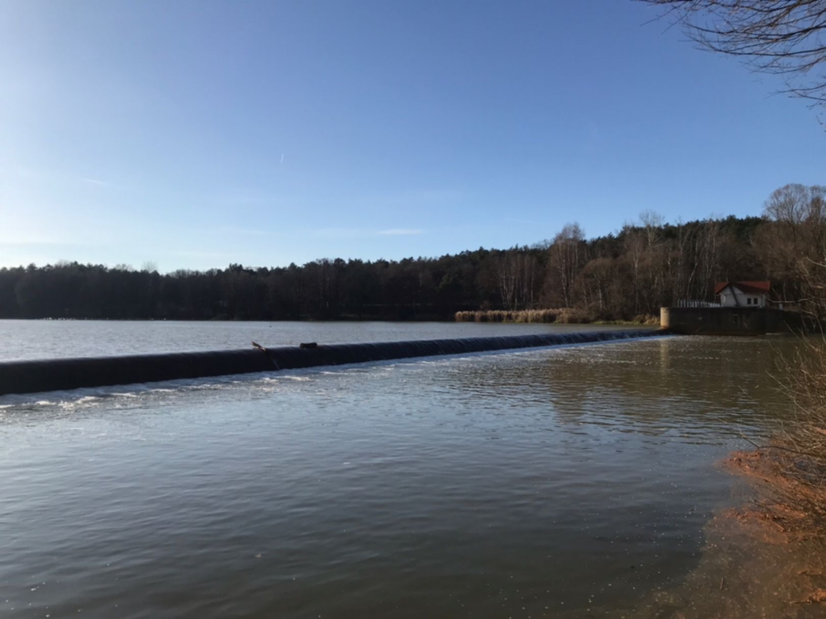 Vorsperre Spremberg angeln