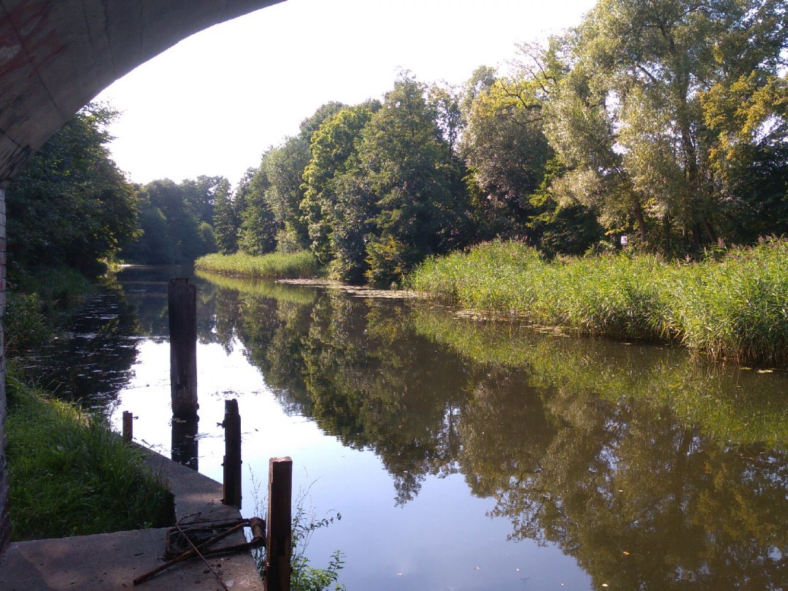 Finowkanal (Finowfurt) angeln