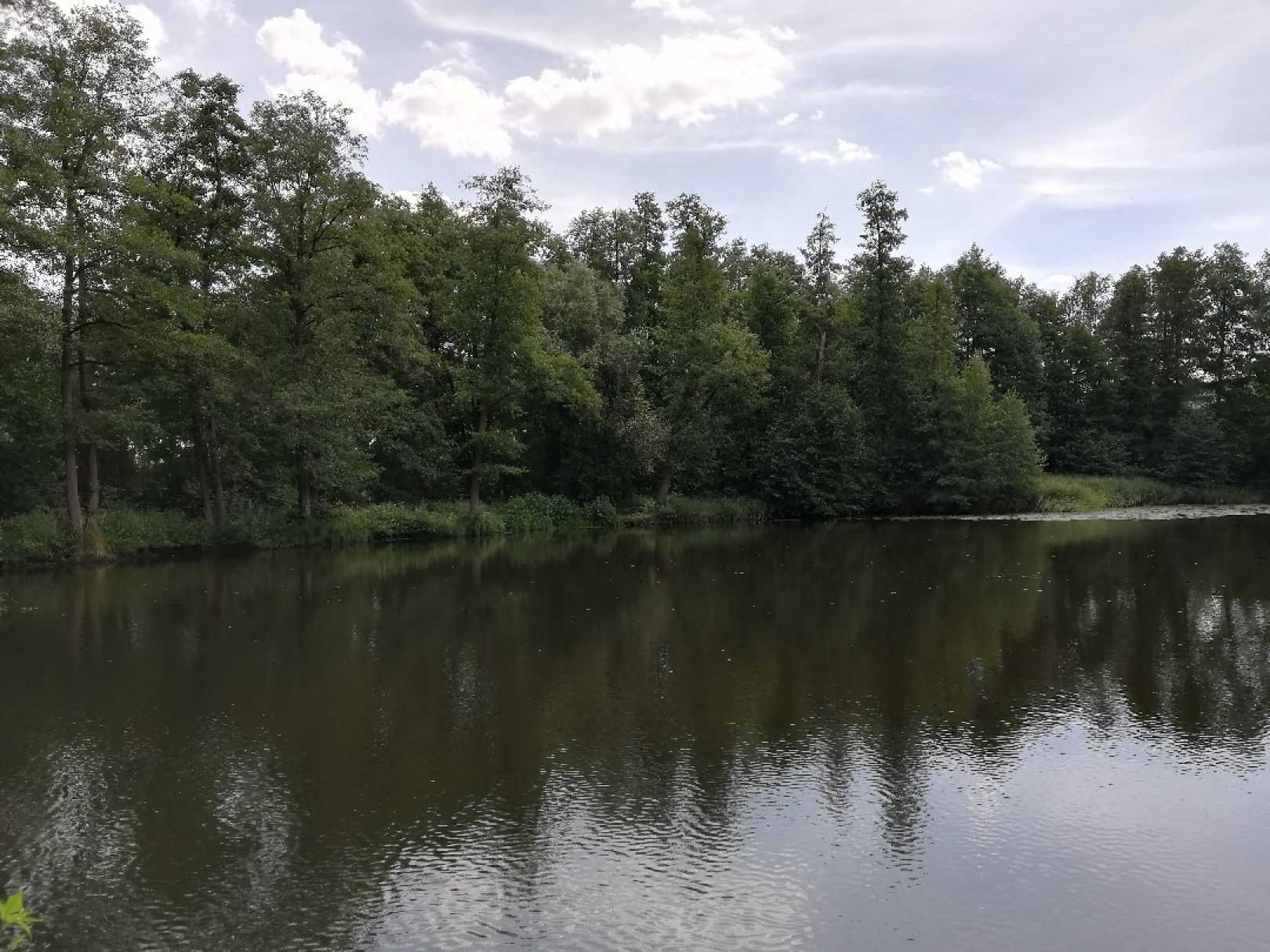 Heidehofteich (Weinböhla) angeln