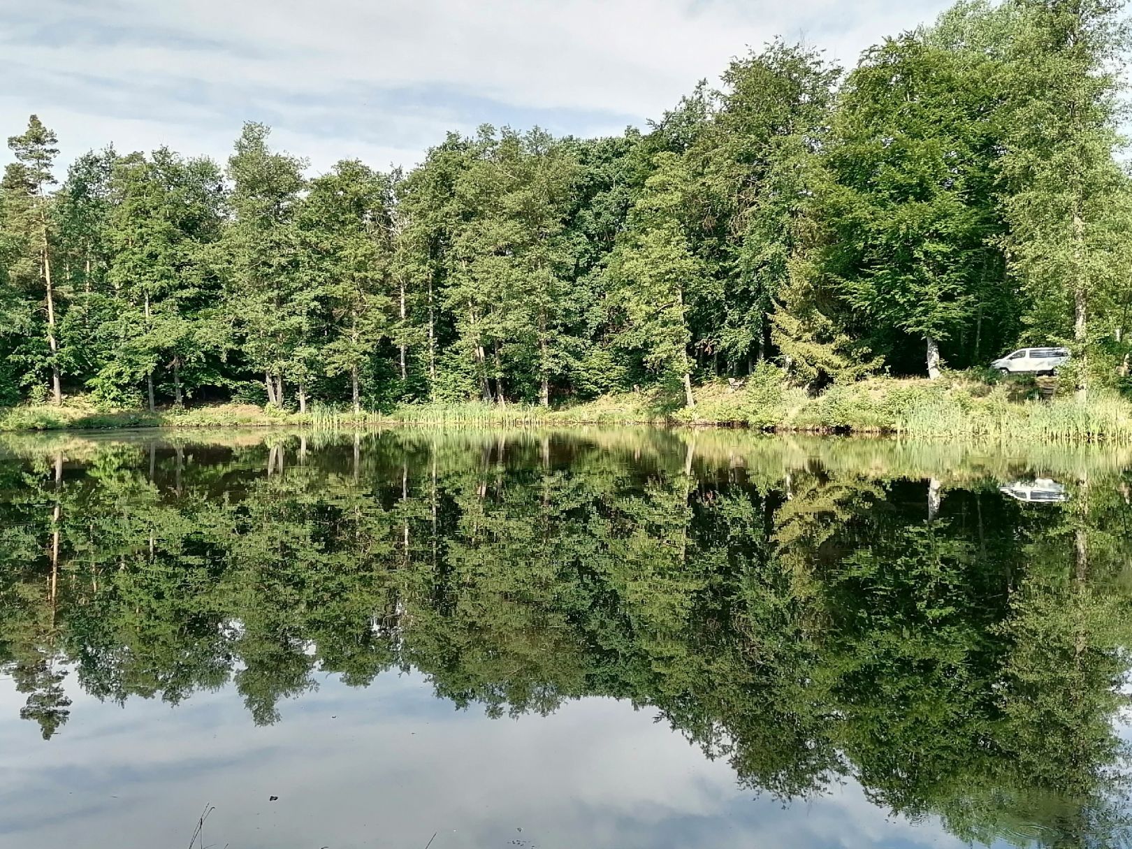 Heidehofteich (Weinböhla) angeln